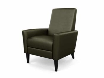 Vida Elegant Recliner