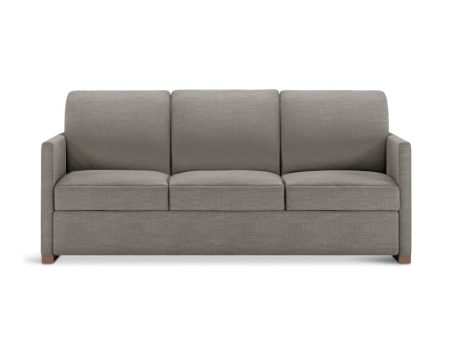 Pearson Comfort Sleeper